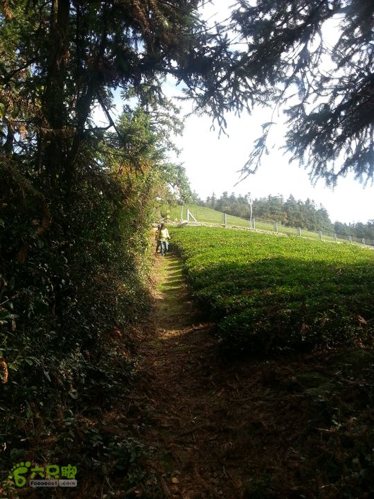 大嵩岭古道-福泉山景区-东道岭古道-横街村下山小道