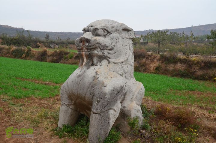 骑行富平唐定陵、唐章陵、唐简陵DSC_0049