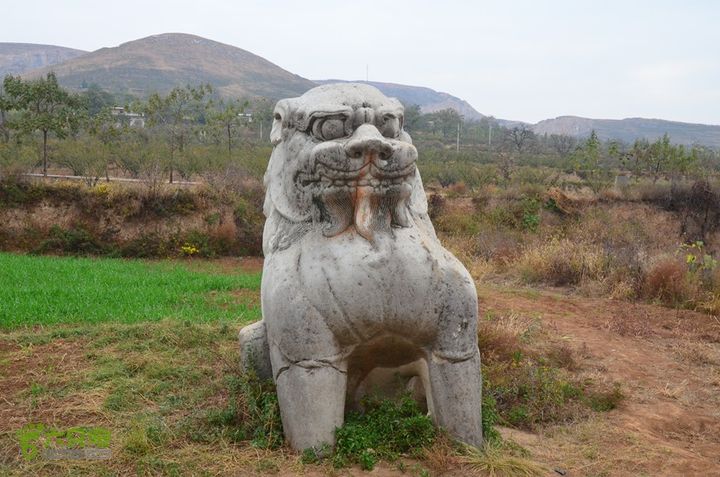 骑行富平唐定陵、唐章陵、唐简陵DSC_0050