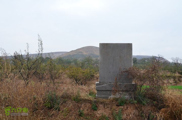 骑行富平唐定陵、唐章陵、唐简陵DSC_0055