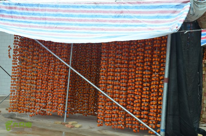 骑行富平唐定陵、唐章陵、唐简陵DSC_0059