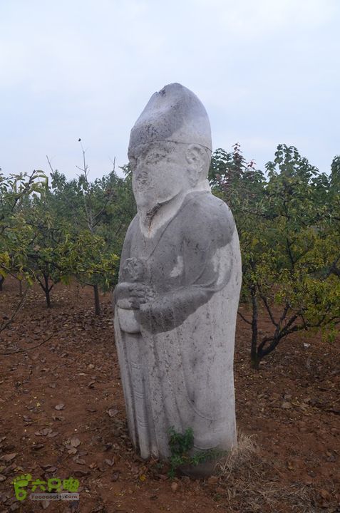 骑行富平唐定陵、唐章陵、唐简陵DSC_0069