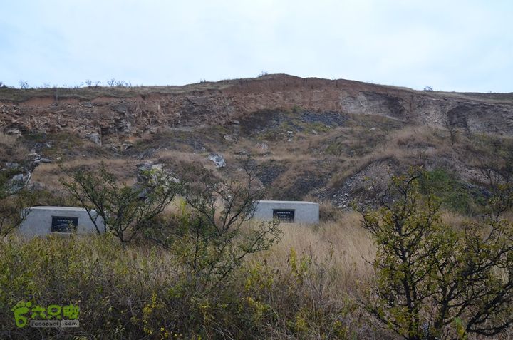 骑行富平唐定陵、唐章陵、唐简陵DSC_0079