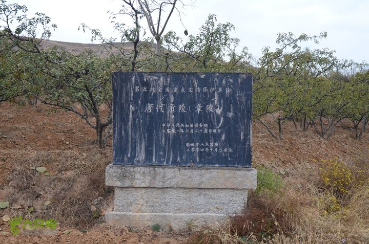 骑行富平唐定陵、唐章陵、唐简陵DSC_0080