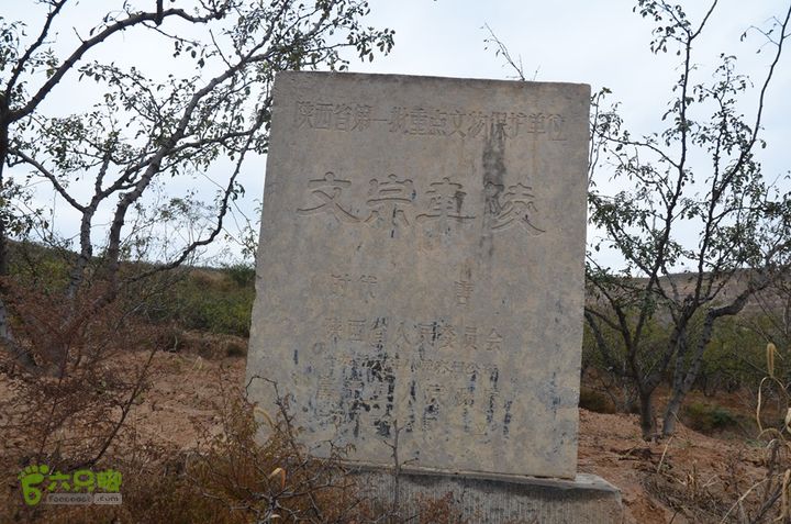 骑行富平唐定陵、唐章陵、唐简陵DSC_0084