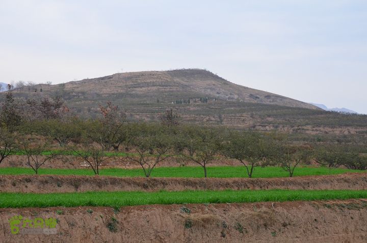 骑行富平唐定陵、唐章陵、唐简陵DSC_0088