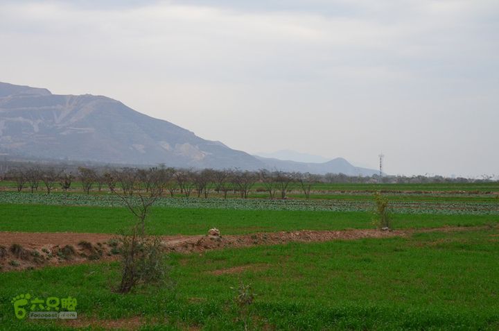 骑行富平唐定陵、唐章陵、唐简陵DSC_0091