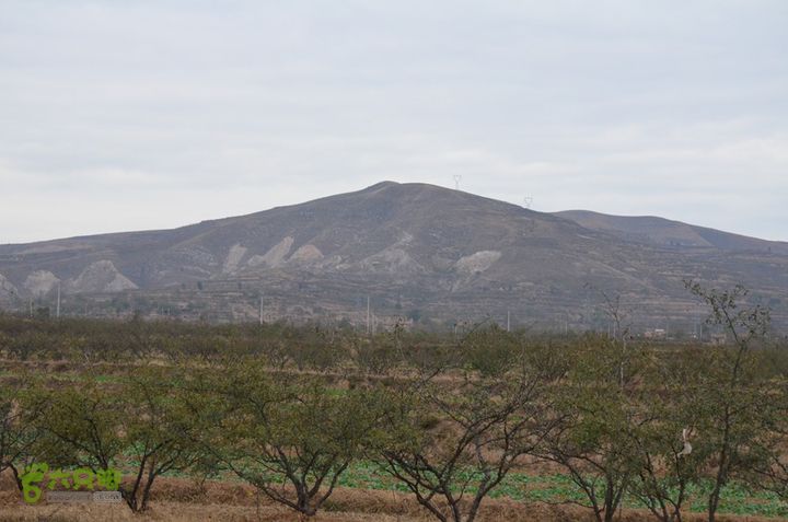 骑行富平唐定陵、唐章陵、唐简陵DSC_0092