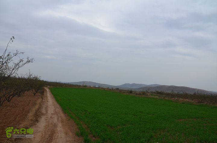 骑行富平唐定陵、唐章陵、唐简陵DSC_0093