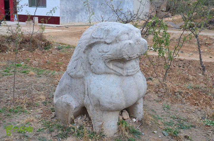 骑行富平唐定陵、唐章陵、唐简陵DSC_0094
