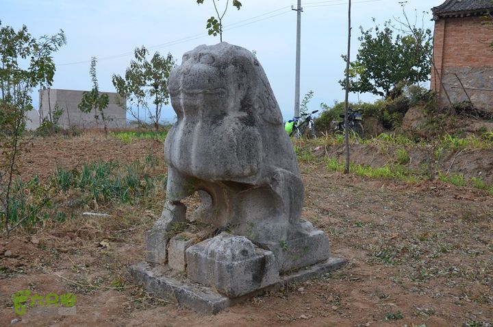 骑行富平唐定陵、唐章陵、唐简陵DSC_0097