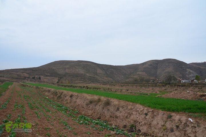 骑行富平唐定陵、唐章陵、唐简陵DSC_0101