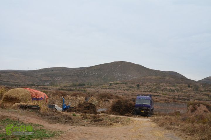 骑行富平唐定陵、唐章陵、唐简陵DSC_0102