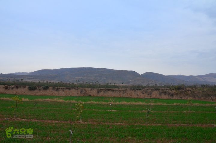 骑行富平唐定陵、唐章陵、唐简陵DSC_0104