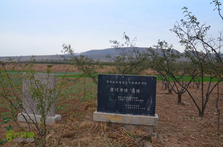 骑行富平唐定陵、唐章陵、唐简陵DSC_0105