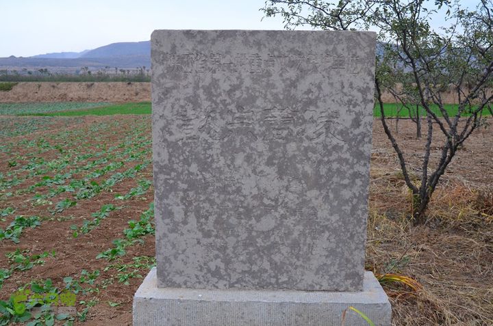 骑行富平唐定陵、唐章陵、唐简陵DSC_0109