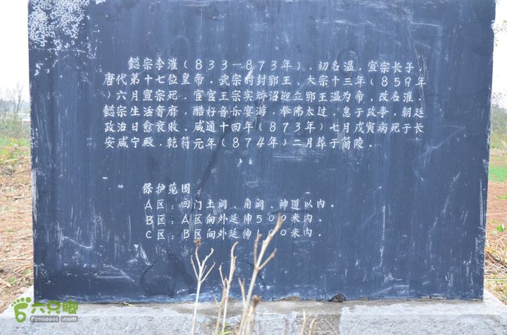 骑行富平唐定陵、唐章陵、唐简陵DSC_0112