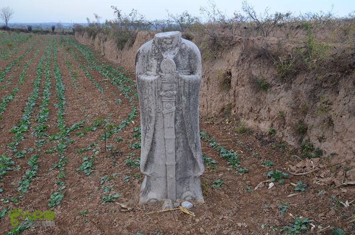骑行富平唐定陵、唐章陵、唐简陵DSC_0113