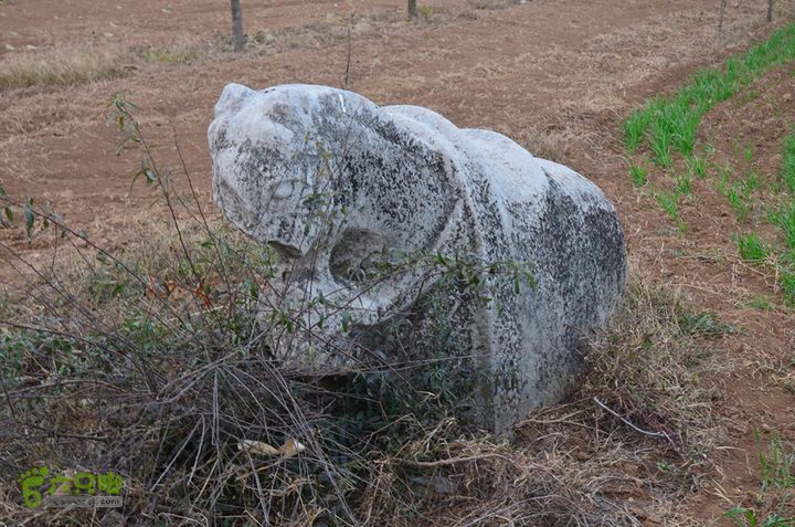 骑行富平唐定陵、唐章陵、唐简陵DSC_0118