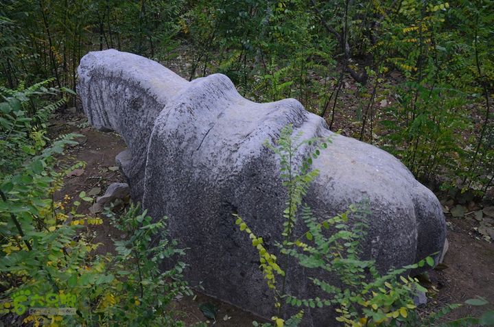 骑行富平唐定陵、唐章陵、唐简陵DSC_0120