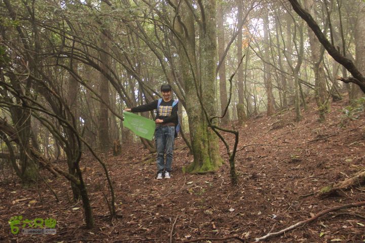 杨家岭-牛岭-太平山1450平台-缆车中站，三角形穿越路线IMG_0081
