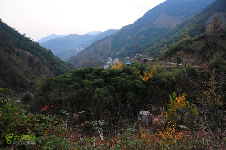 20131109吴越古道浙西天池穿越DSC_2564_副本