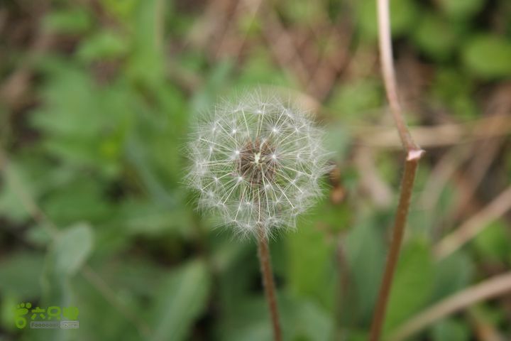 济南龙洞山探路20120429IMG_0085