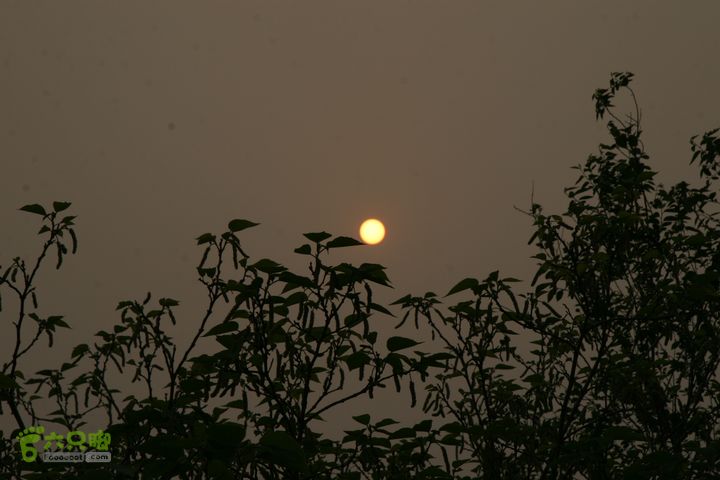 济南龙洞山探路20120429IMG_0146