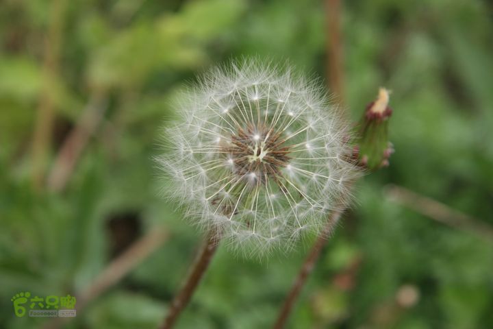 济南龙洞山探路20120429IMG_0087