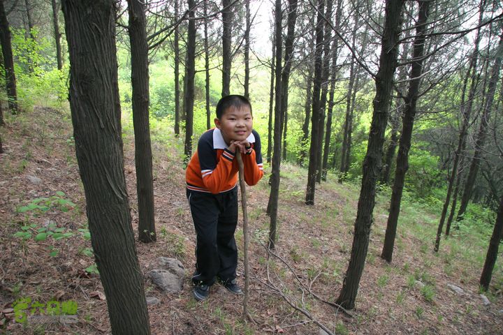 济南龙洞山探路20120429IMG_0109