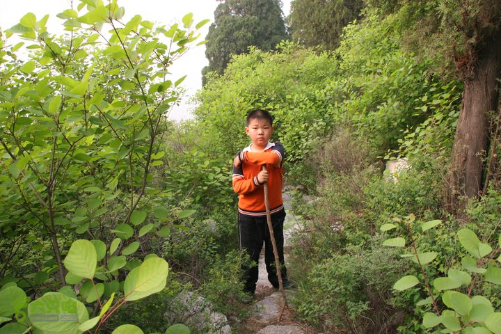 济南龙洞山探路20120429IMG_0113