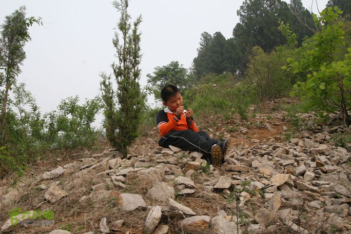 济南龙洞山探路20120429IMG_0134