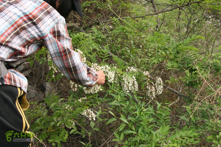 济南龙洞山探路20120429IMG_0135