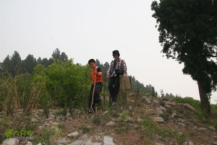 济南龙洞山探路20120429IMG_0141