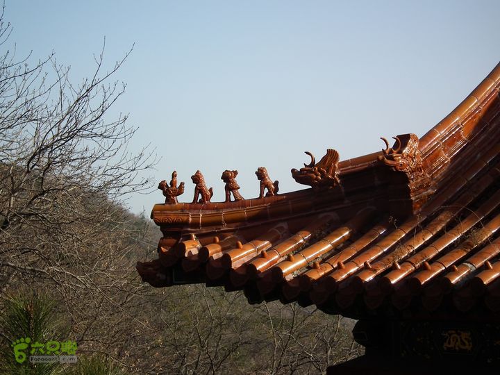 盘山DSCF1310_眸目压缩