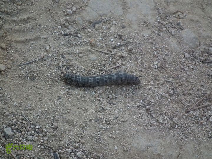 盘山DSCF1345_眸目压缩