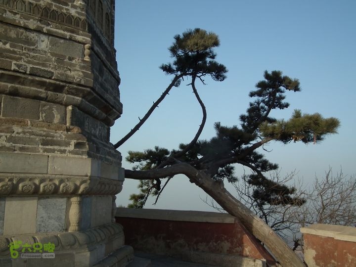 盘山DSCF1379_眸目压缩