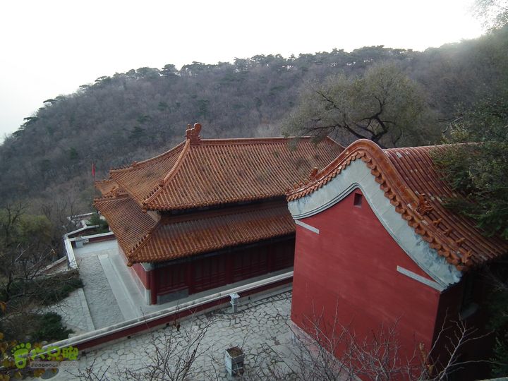 盘山DSCF1399_眸目压缩