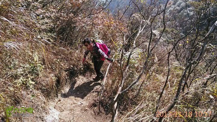 宜春明月山～羊狮慕～武发客栈～金顶～萍乡武功山2013-11-18 10:17:28