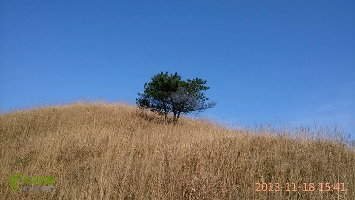 宜春明月山～羊狮慕～武发客栈～金顶～萍乡武功山2013-11-18 15:41:33