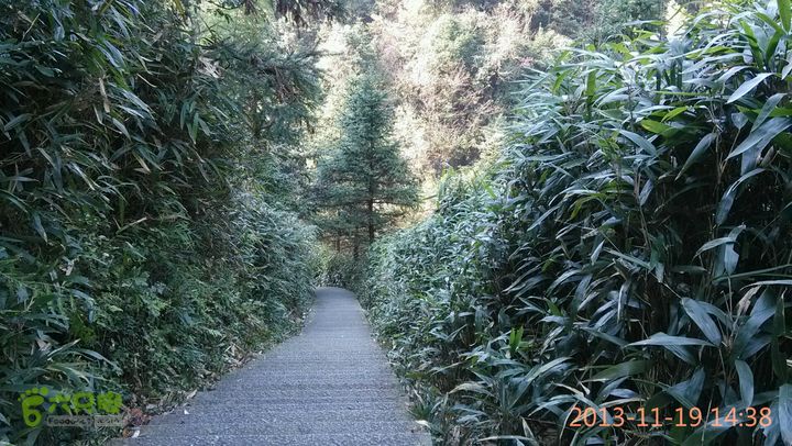 宜春明月山～羊狮慕～武发客栈～金顶～萍乡武功山2013-11-19 14:38:08