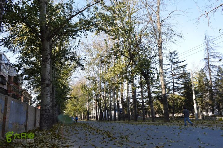 沙河上朝宗桥畔巩华城nEO_IMG_DSC_3929