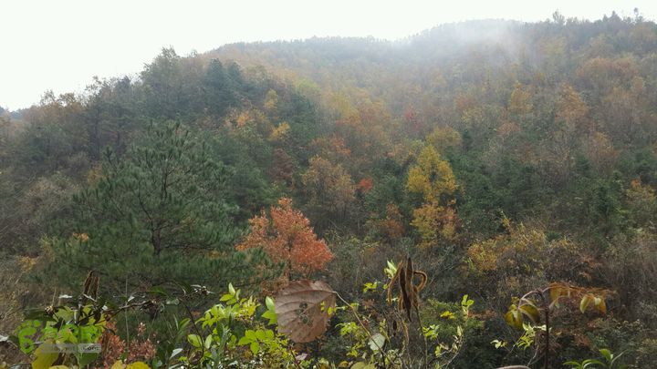 西霞坑古道2013-11-24 11:30:14