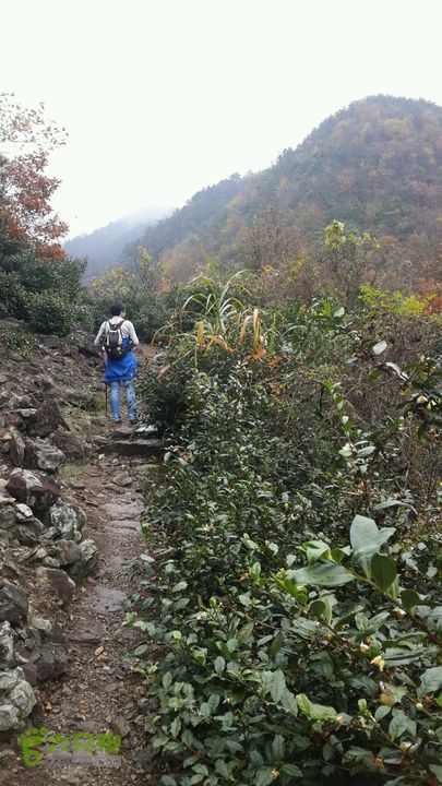 西霞坑古道2013-11-24 11:30:31