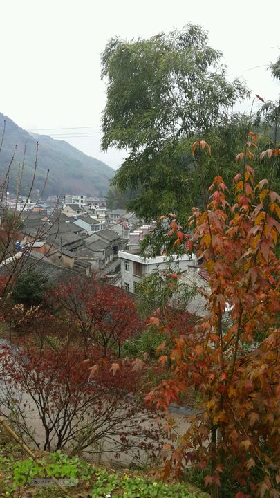 西霞坑古道唐田村