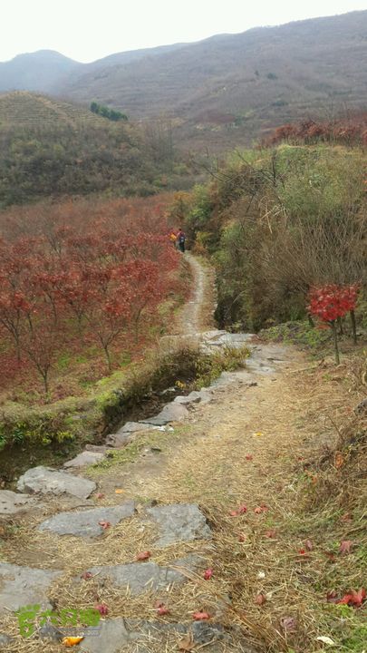 西霞坑古道2013-11-24 14:09:29