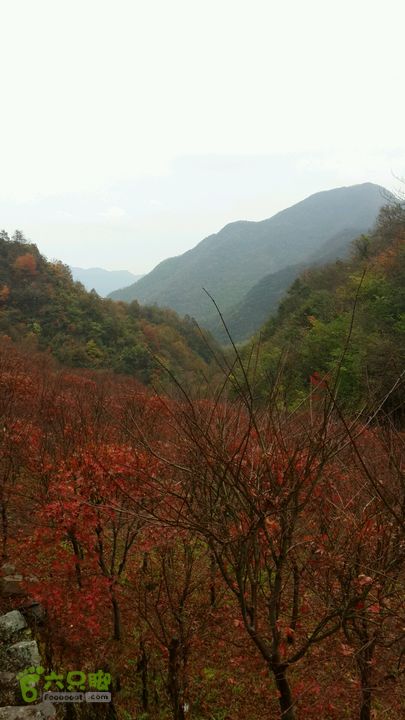 西霞坑古道2013-11-24 14:14:53