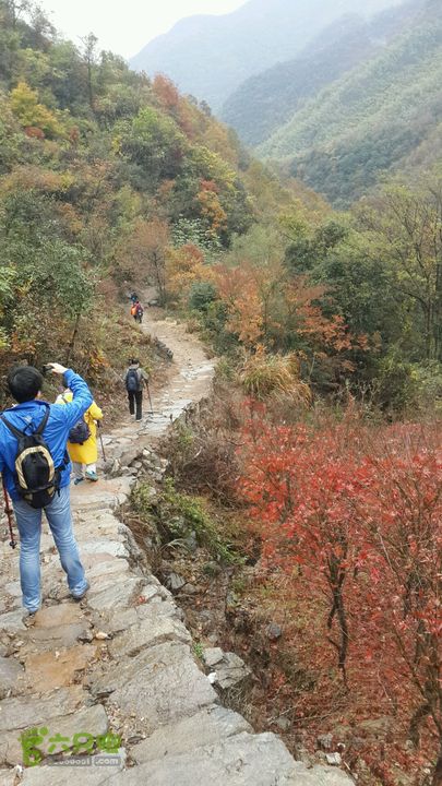 西霞坑古道2013-11-24 14:18:21