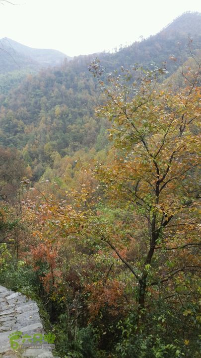 西霞坑古道2013-11-24 14:20:51