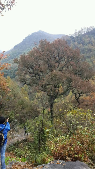 西霞坑古道2013-11-24 14:23:07